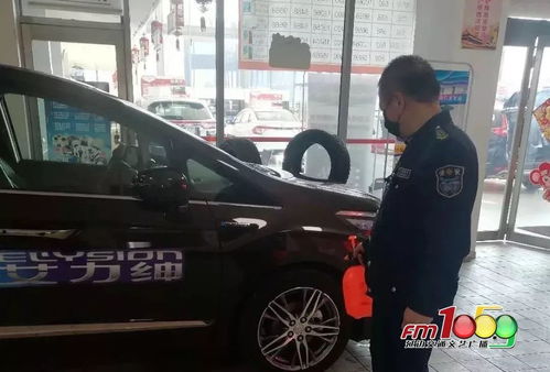 汽車銷售企業(yè)有序復(fù)工，線上線下并舉體驗2020新款車型與零配件零售
